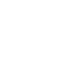 Level 1