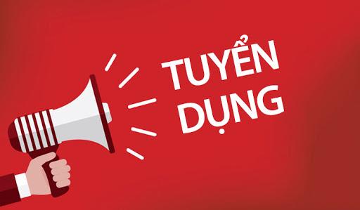 Bài viết tuyển dụng pisa
